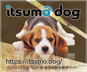 itsumo dog